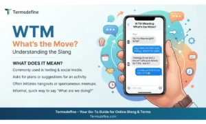 WTM Meaning in Text