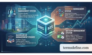 BMS Meaning in Text