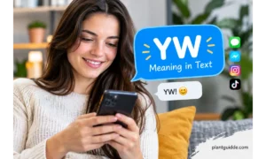 YW Meaning in Text