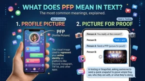 PFP Meaning in Text