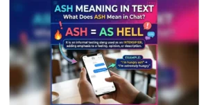 ASH Meaning in Text